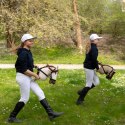 Hobby Horse Skippi Karmel A3 - kantar i wodze w zestawie - beżowy