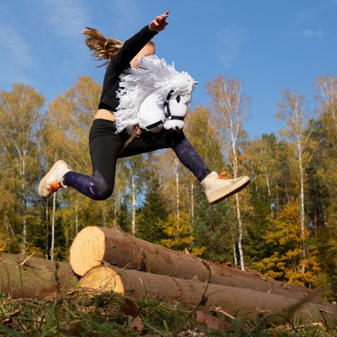 Hobby horse zabawka dla dziewczynki konik kiju A3 Hobby horse zabawka dla dziewczynki konik kiju A3