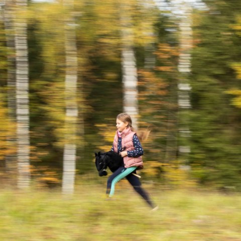 Hobby horse zabawka dla dziewczynki konik kiju A3 Hobby horse zabawka dla dziewczynki konik kiju A3