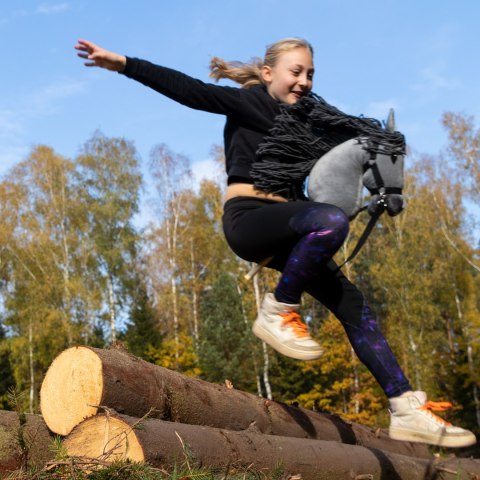 Hobby horse zabawka dla dziewczynki konik kiju A3 Hobby horse zabawka dla dziewczynki konik kiju A3