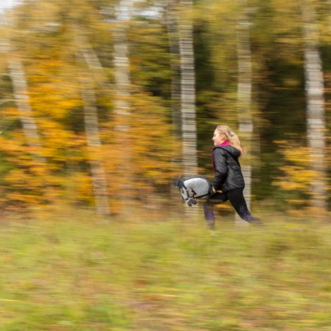 Hobby horse zabawka dla dziewczynki konik kiju A3 Hobby horse zabawka dla dziewczynki konik kiju A3