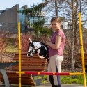 Przeszkoda do skakania Skippi - lekka -przenośnia - bezpieczna - Hobby Horse