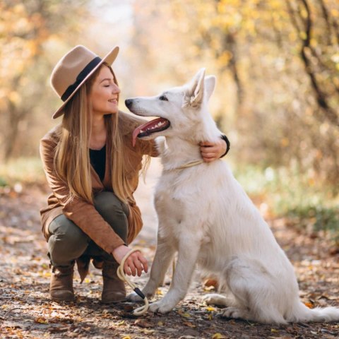 2Dog mokra karma konina z siemieniem 800g 2Dog mokra karma konina z siemieniem 800g