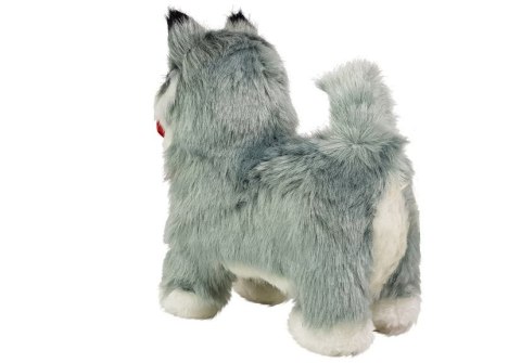 LEAN Toys Interaktywny Pies Husky Porusza się, Szczeka