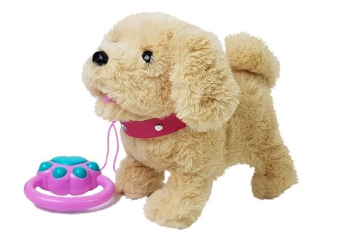 LEAN Toys Pluszowy Piesek na Smyczy na Baterie Kremowy Akcesoria