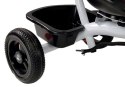 LEAN Toys Rower Trójkołowy PRO300 Fioletowy