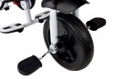 LEAN Toys Rower Trójkołowy PRO300 Fioletowy