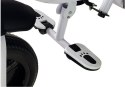 LEAN Toys Rower Trójkołowy PRO300 Fioletowy