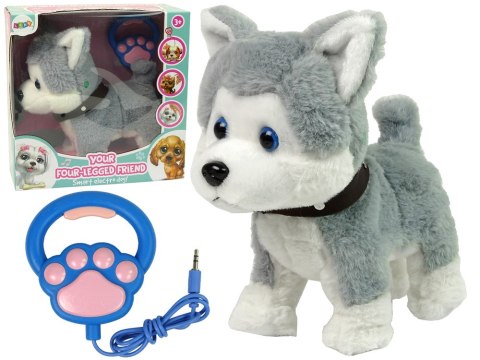 LEAN Toys Pluszowy Piesek Husky Interaktywny Edukacyjny Smycz Piosenki Chodzi