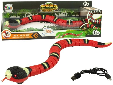 LEAN Toys Zdalnie Sterowany Wąż Na Dotyk Czerwony Czarne Paski LEAN Toys Zdalnie Sterowany Wąż Na Dotyk Czerwony Czarne Paski
