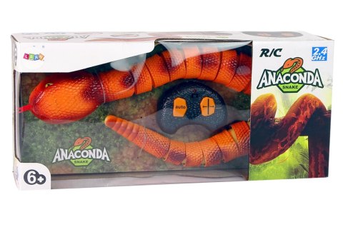 LEAN Toys Zdalnie Sterowany Wąż Anakonda Na Pilota 70 cm Długości