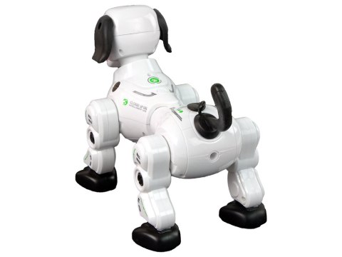 LEAN Toys Piesek Robot Interaktywny Zdalnie Sterowany