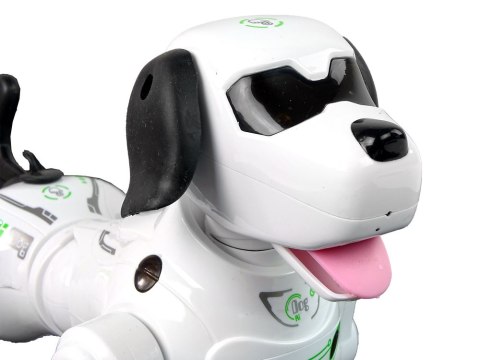 LEAN Toys Piesek Robot Interaktywny Zdalnie Sterowany