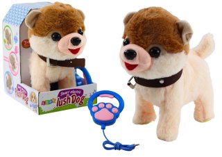 LEAN Toys Pies Interaktywny Na Smyczy Chodzi Tańczy Śpiewa Biało Beżowy