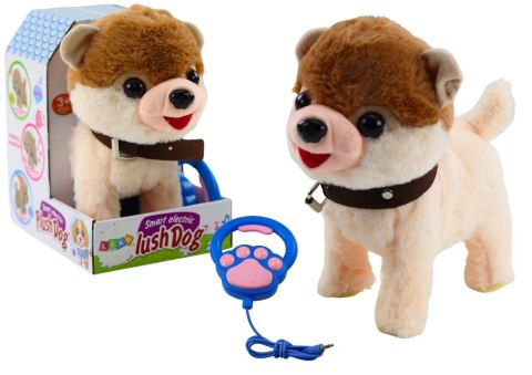 LEAN Toys Pies Interaktywny Na Smyczy Chodzi Tańczy Śpiewa Biało Beżowy