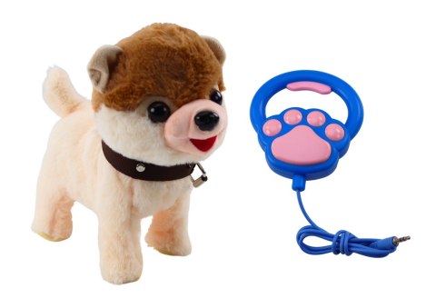 LEAN Toys Pies Interaktywny Na Smyczy Chodzi Tańczy Śpiewa Biało Beżowy