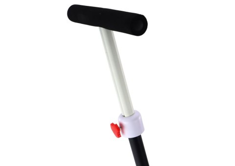 LEAN Trike Rower Trójkołowy PRO50 Rowerek Z Rączką Do Prowadzenia Czarny LEAN Trike Rower Trójkołowy PRO50 Rowerek Z Rączką Do Prowadzenia Czarny