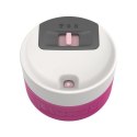 Kambukka Kambukka kubek termiczny Etna 300ml - Brushing Bride