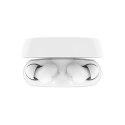 Belkin BELKIN BEZPRZEWODOWE SOUNDFORM RHYTHM BT DOUSZNE BIAŁE