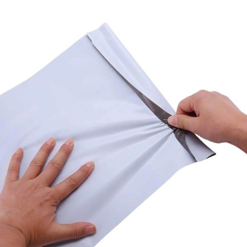 BESTPAK BSTech Foliopak koperta foliowa mocna 50mic 580x750 100 szt FB11 6XL BESTPAK BSTech Foliopak koperta foliowa mocna 50mic 580x750 100 szt FB11 6XL