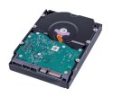 WD Dysk twardy HDD WD Gold 8TB 3,5" SATA WD8005FRYZ