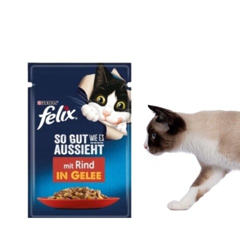 PURINA NESTLE PURINA Felix MIX Smaków - mokra karma dla kota - 120x85 g PURINA NESTLE PURINA Felix MIX Smaków - mokra karma dla kota - 120x85 g