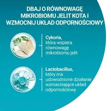 PURINA NESTLE PURINA ONE Sterilcat Wołowina 9,75kg PURINA NESTLE PURINA ONE Sterilcat Wołowina 9,75kg