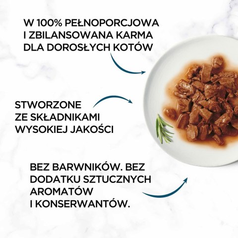 PURINA NESTLE Purina Gourmet Perle fileciki w sosie Mix Smaków - mokra karma dla kota - 60x85 g PURINA NESTLE Purina Gourmet Perle fileciki w sosie Mix Smaków - mokra karma dla kota - 60x85 g
