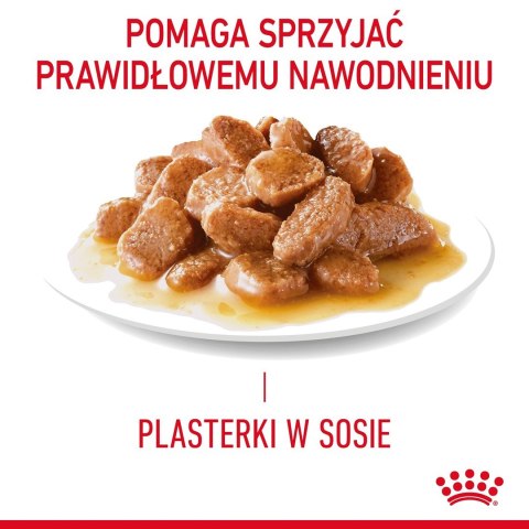 Royal Canin ROYAL CANIN FCN Hairball Care w sosie - mokra karma dla kota dorosłego - 12x85g Royal Canin ROYAL CANIN FCN Hairball Care w sosie - mokra karma dla kota dorosłego - 12x85g