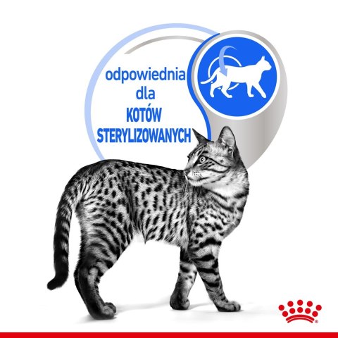 ROYAL CANIN FHN Indoor w sosie - mokra karma dla kota dorosłego - 12x85g ROYAL CANIN FHN Indoor w sosie - mokra karma dla kota dorosłego - 12x85g