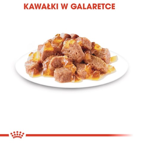 Royal Canin ROYAL CANIN FHN Instinctive w galaretce - mokra karma dla kota dorosłego - 12x85g Royal Canin ROYAL CANIN FHN Instinctive w galaretce - mokra karma dla kota dorosłego - 12x85g