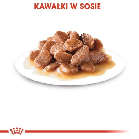 Royal Canin ROYAL CANIN FHN Instinctive w sosie - mokra karma dorosłych kotów - 12x 85 g Royal Canin ROYAL CANIN FHN Instinctive w sosie - mokra karma dorosłych kotów - 12x 85 g