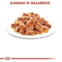 Royal Canin ROYAL CANIN FHN Kitten Instinctive in Jelly - mokra karma dla kociąt - 12x85g