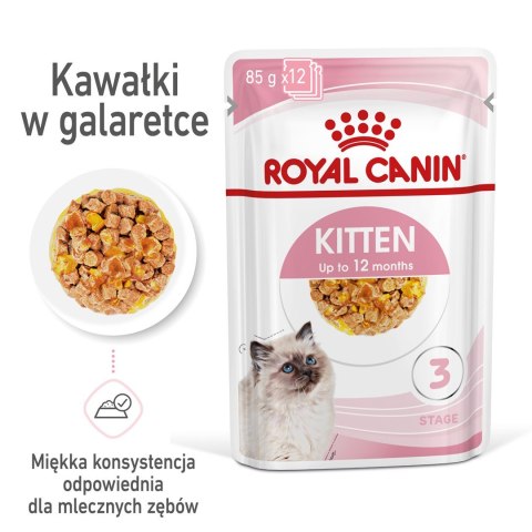 Royal Canin ROYAL CANIN FHN Kitten Instinctive in Jelly - mokra karma dla kociąt - 12x85g Royal Canin ROYAL CANIN FHN Kitten Instinctive in Jelly - mokra karma dla kociąt - 12x85g
