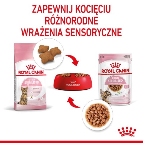 Royal Canin ROYAL CANIN FHN Kitten Sterilised w sosie - mokra karma dla kociąt - 12x85 g Royal Canin ROYAL CANIN FHN Kitten Sterilised w sosie - mokra karma dla kociąt - 12x85 g