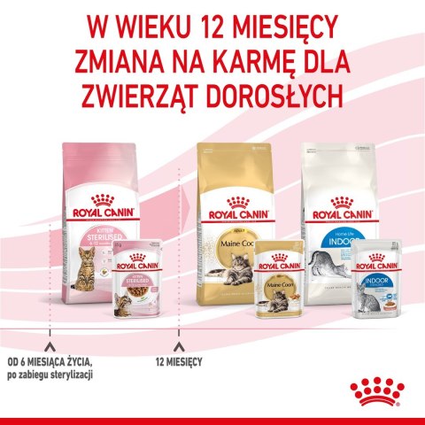 Royal Canin ROYAL CANIN FHN Kitten Sterilised w sosie - mokra karma dla kociąt - 12x85 g Royal Canin ROYAL CANIN FHN Kitten Sterilised w sosie - mokra karma dla kociąt - 12x85 g