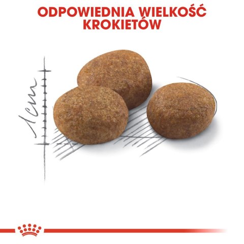 Royal Canin ROYAL CANIN FHN Sterilised 7+ - sucha karma dla kota dorosłego - 10 kg Royal Canin ROYAL CANIN FHN Sterilised 7+ - sucha karma dla kota dorosłego - 10 kg