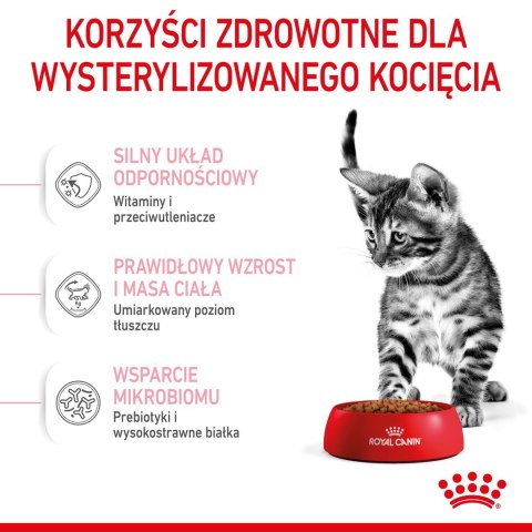 Royal Canin ROYAL CANIN Kitten Sterilised 3,5kg Royal Canin ROYAL CANIN Kitten Sterilised 3,5kg