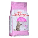 Royal Canin ROYAL CANIN Kitten Sterilised 3,5kg