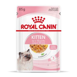 Royal Canin Royal Canin FHN Kitten Instinctive w galaretce - mokra karma dla kociąt - 12x85g