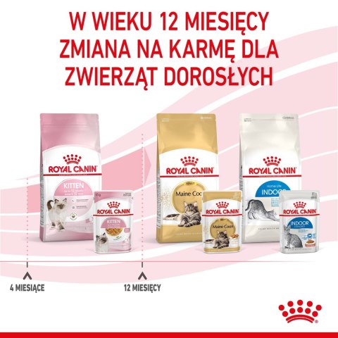 Royal Canin Royal Canin FHN Kitten Instinctive w galaretce - mokra karma dla kociąt - 12x85g Royal Canin Royal Canin FHN Kitten Instinctive w galaretce - mokra karma dla kociąt - 12x85g