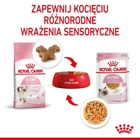 Royal Canin Royal Canin FHN Kitten Instinctive w galaretce - mokra karma dla kociąt - 12x85g Royal Canin Royal Canin FHN Kitten Instinctive w galaretce - mokra karma dla kociąt - 12x85g