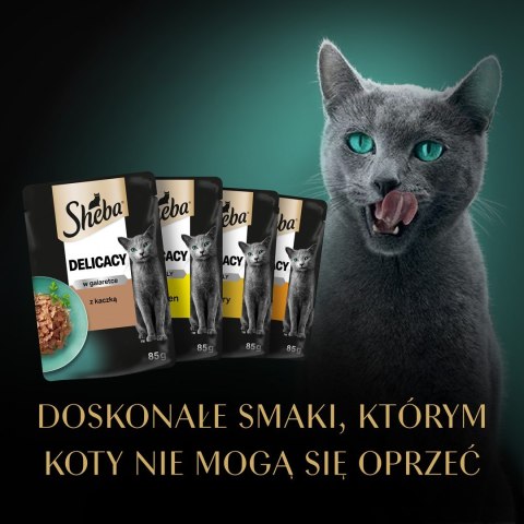 Sheba SHEBA Delicacy drobiowe smaki w galarecie- Drób - Mokra karma dla kota - 40x85g Sheba SHEBA Delicacy drobiowe smaki w galarecie- Drób - Mokra karma dla kota - 40x85g