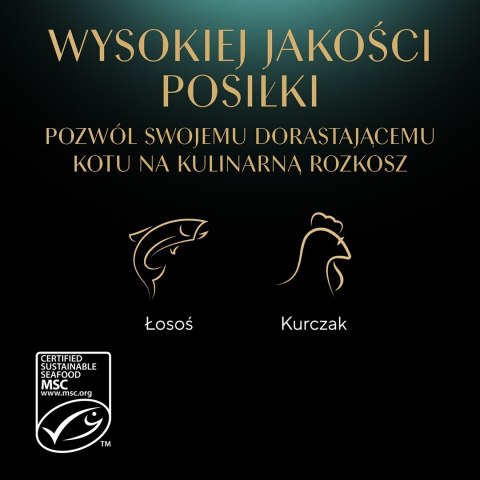 Sheba SHEBA Nature's Collection Drobiowe smaki w galarecie- Junior Kurczak/Łosoś - Mokra karma dla kota 40x85g Sheba SHEBA Nature's Collection Drobiowe smaki w galarecie- Junior Kurczak/Łosoś - Mokra karma dla kota 40x85g