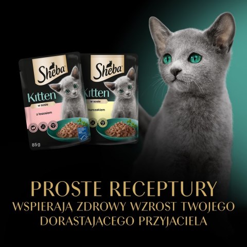 Sheba SHEBA Nature's Collection Drobiowe smaki w galarecie- Junior Kurczak/Łosoś - Mokra karma dla kota 40x85g Sheba SHEBA Nature's Collection Drobiowe smaki w galarecie- Junior Kurczak/Łosoś - Mokra karma dla kota 40x85g