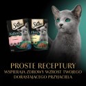 Sheba SHEBA Nature's Collection Drobiowe smaki w galarecie- Junior Kurczak/Łosoś - Mokra karma dla kota 40x85g