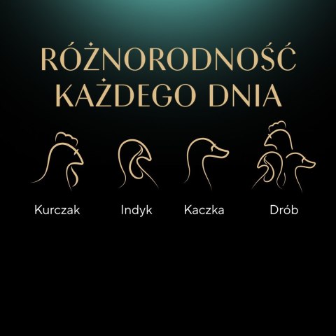 Sheba SHEBA Nature's Collection drobiowe smaki w galarecie- Drób - Adult- Mokra karma dla kota- 40x85 Sheba SHEBA Nature's Collection drobiowe smaki w galarecie- Drób - Adult- Mokra karma dla kota- 40x85