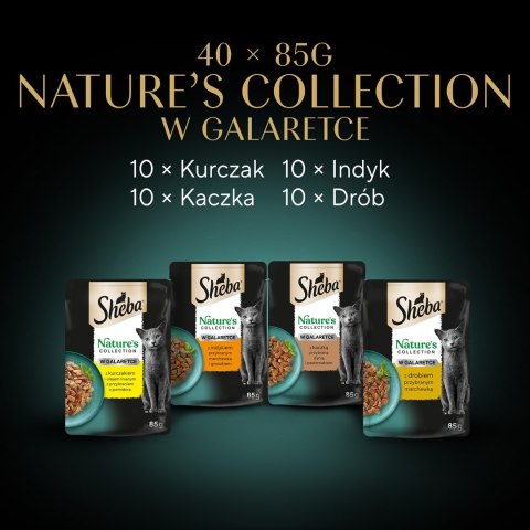 Sheba SHEBA Nature's Collection drobiowe smaki w galarecie- Drób - Adult- Mokra karma dla kota- 40x85 Sheba SHEBA Nature's Collection drobiowe smaki w galarecie- Drób - Adult- Mokra karma dla kota- 40x85