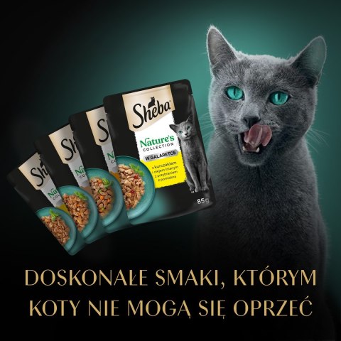 Sheba SHEBA Nature's Collection drobiowe smaki w galarecie- Drób - Adult- Mokra karma dla kota- 40x85 Sheba SHEBA Nature's Collection drobiowe smaki w galarecie- Drób - Adult- Mokra karma dla kota- 40x85