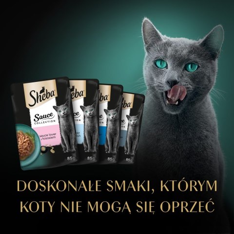 Sheba SHEBA Sauce Collection Mix Smaków rybnych w sosie - Mokra karma dla kota - 40x85g Sheba SHEBA Sauce Collection Mix Smaków rybnych w sosie - Mokra karma dla kota - 40x85g